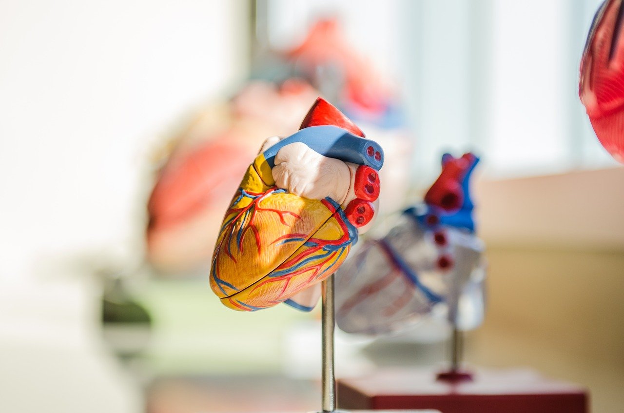 Cardiac Department post thumbnail image